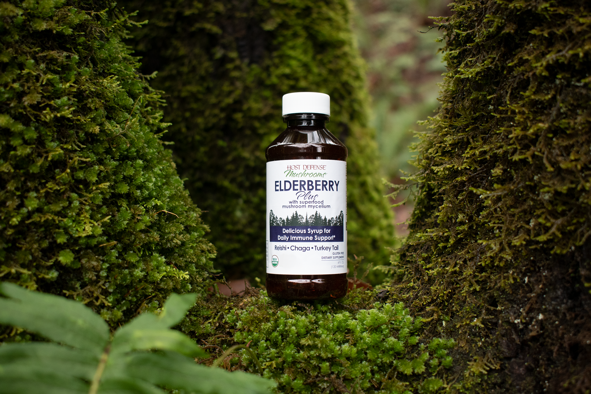Elderberry Plus Syrup: Elderberries and Mushroom Mycelium