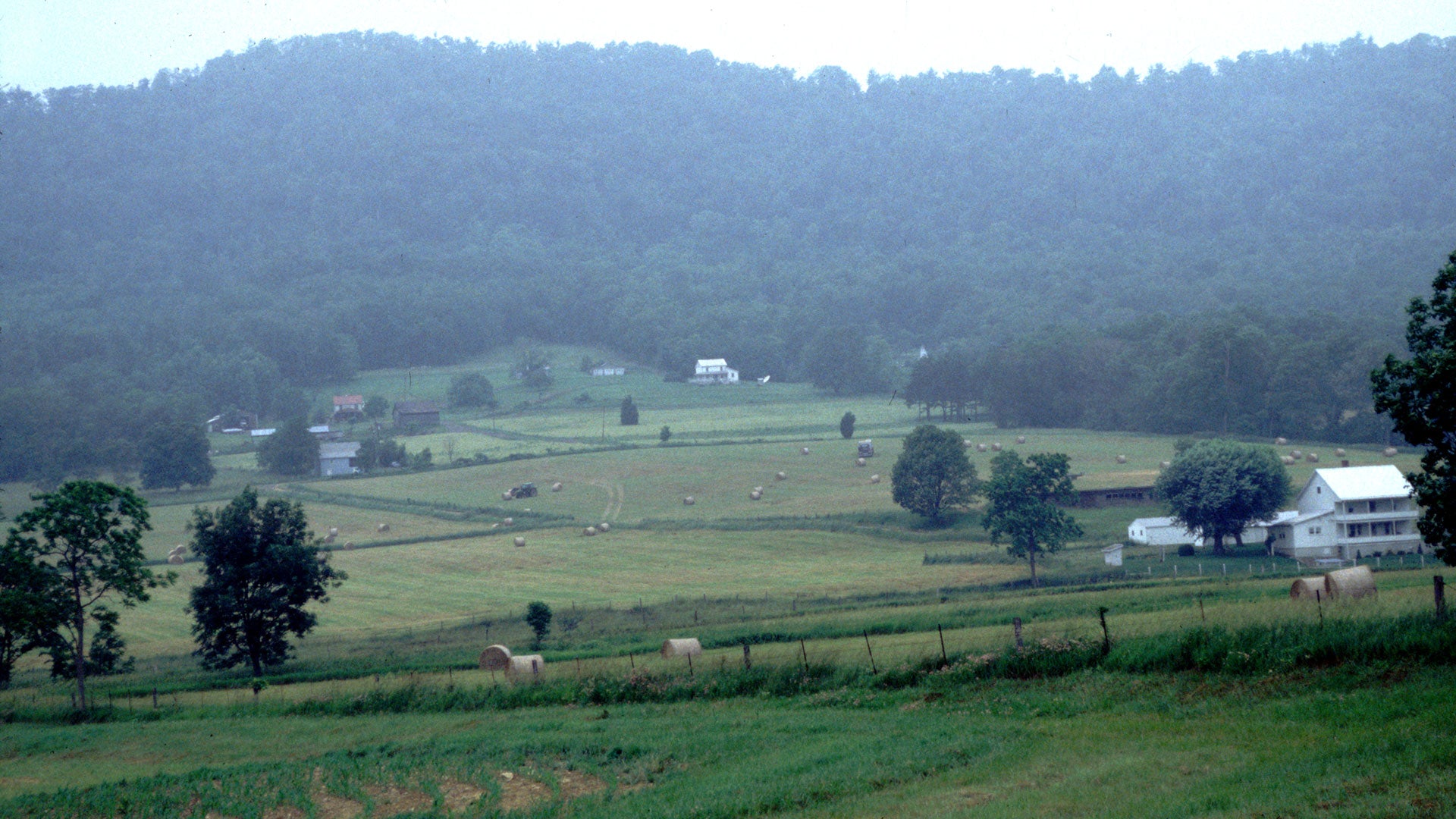 A Novel Approach to Farm Waste Management