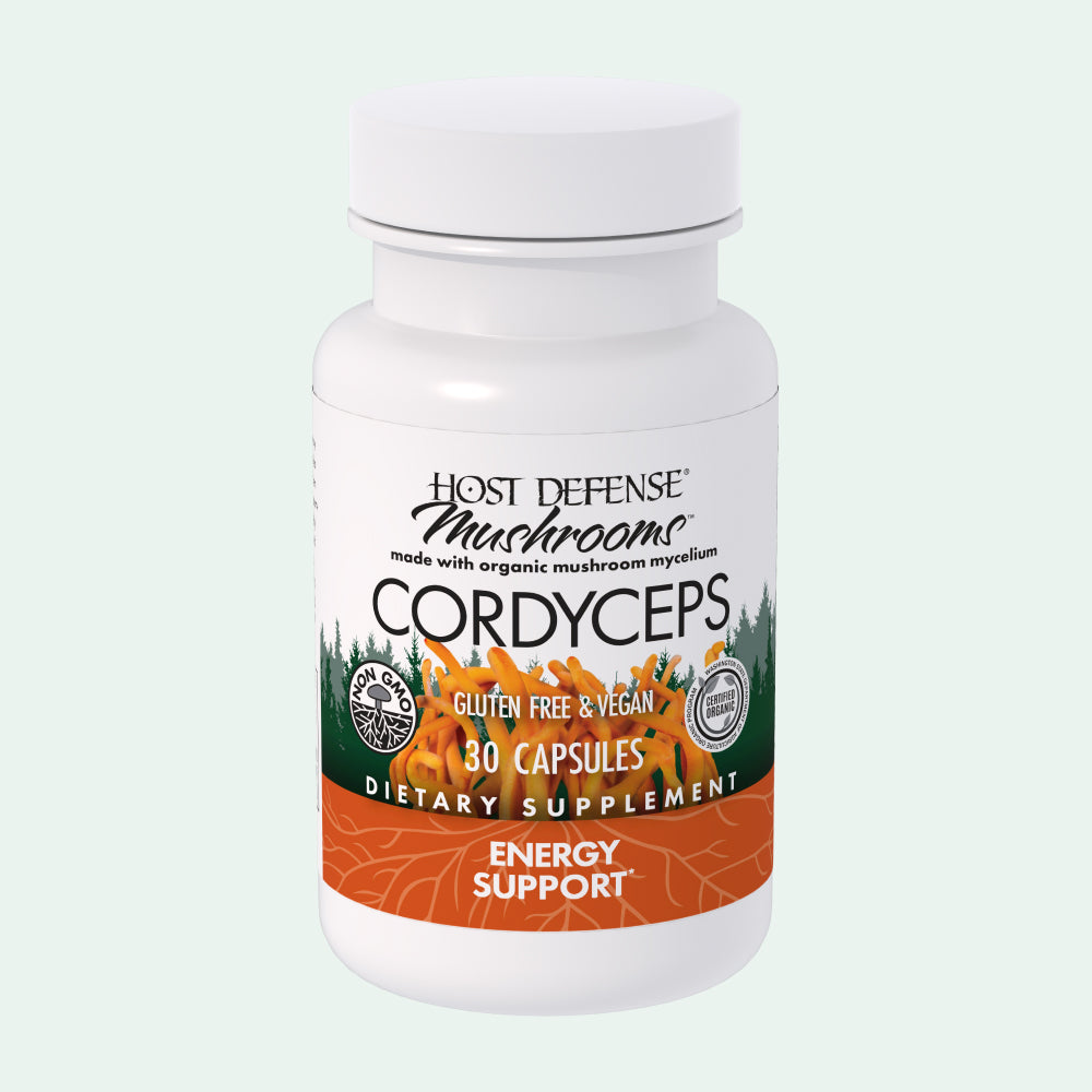 Cordyceps Capsules