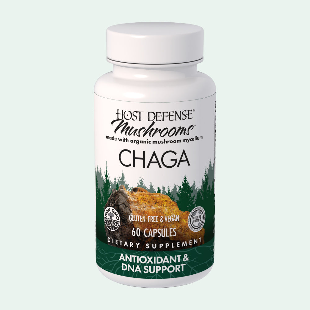 Chaga Capsules