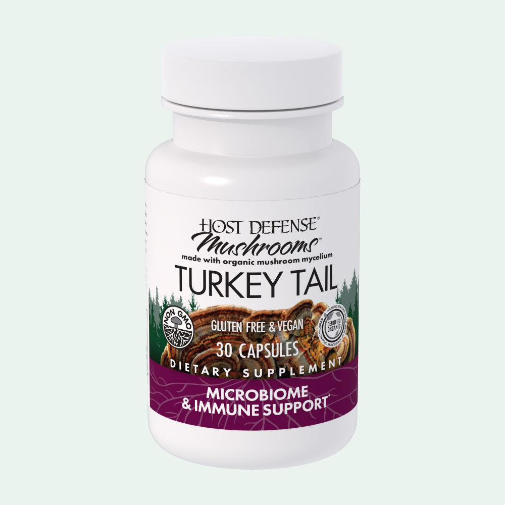 Turkey Tail Capsules