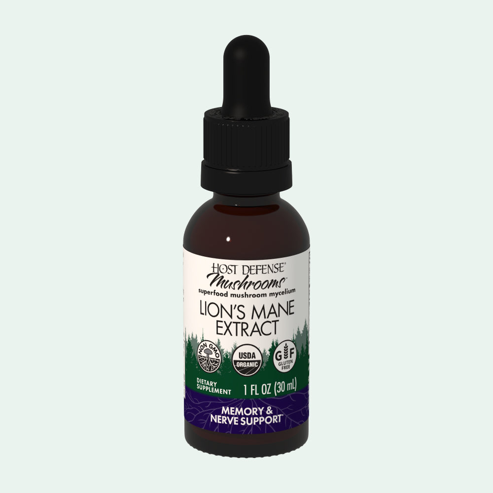 Lion's Mane Extract