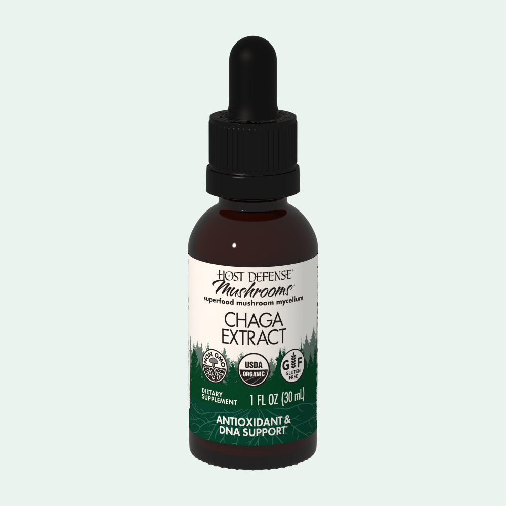 Chaga Extract