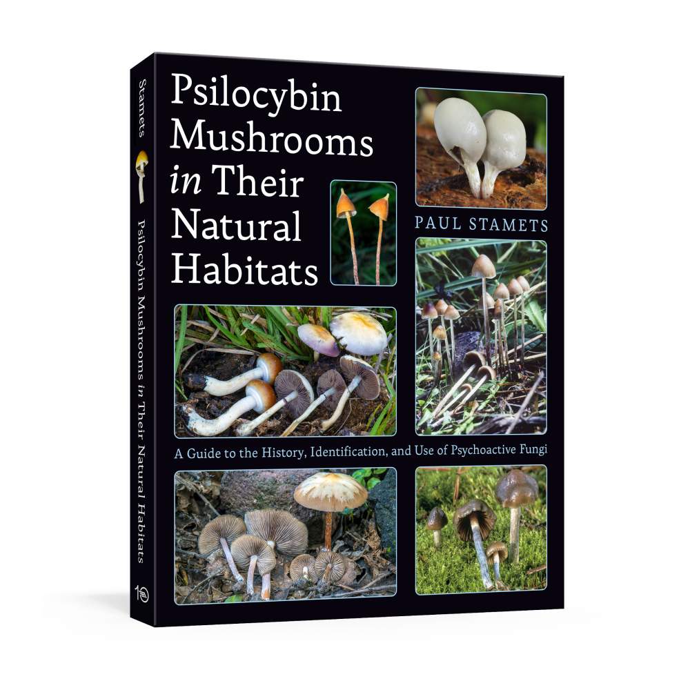Psilocybin Mushrooms in Their Natural Habitats