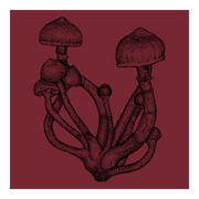 Fungi Perfecti Psilocybin Cubensis T-Shirt Graphic on Maroon Background