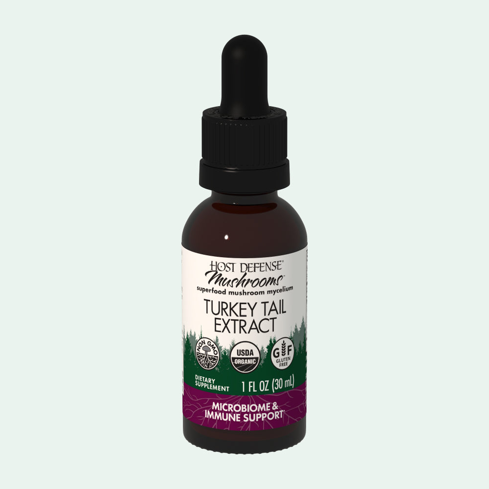 Turkey Tail Extract