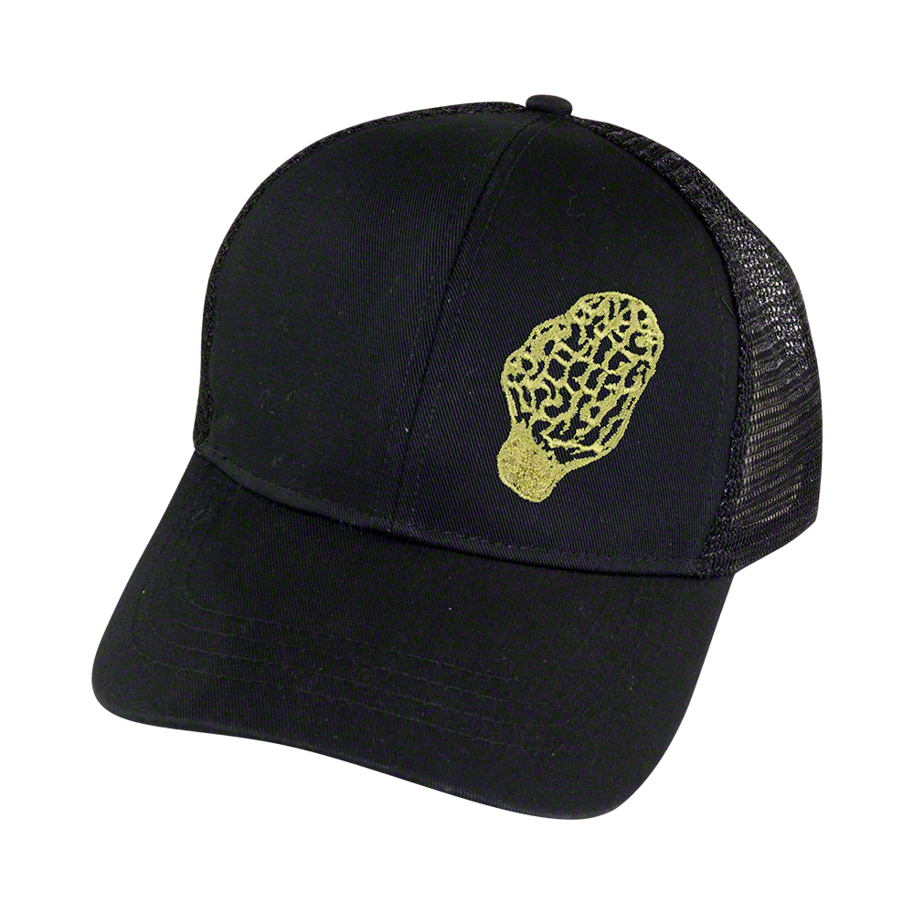Morel Cap