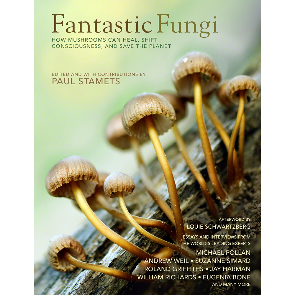 http://fungi.com/cdn/shop/products/bsff.png?v=1571610297