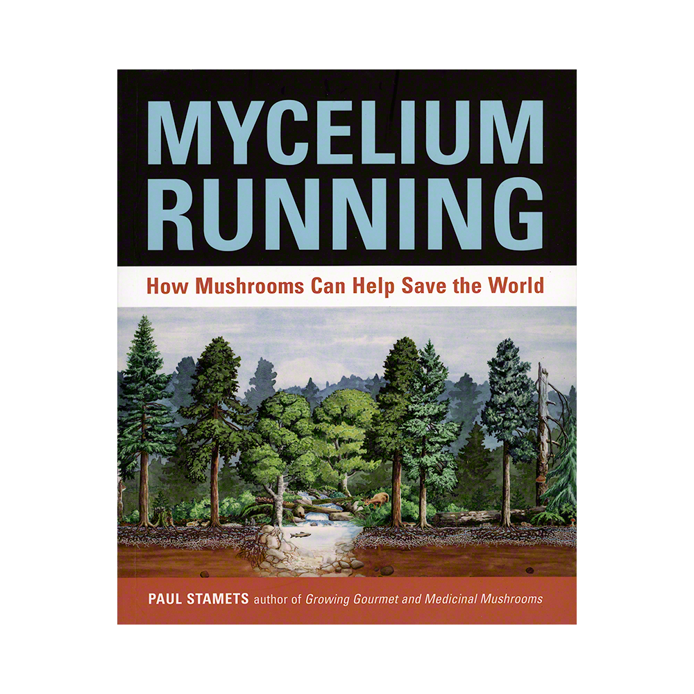 Mycelium Running