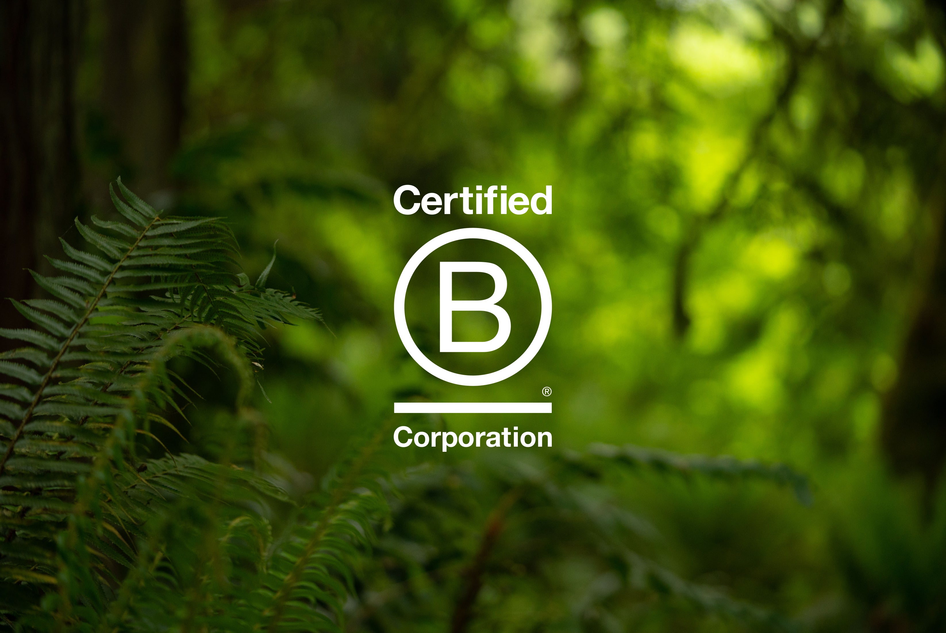 Fungi Perfecti, LLC Is A Certified B Corporation