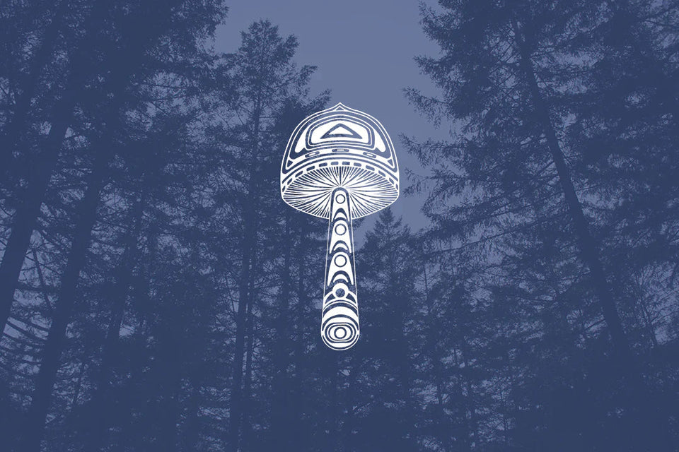 New Research Highlights Distinct Support for Immune-Balancing Activity in Lion’s Mane Mushroom Mycelium as Compared to Fruiting Body Extracts