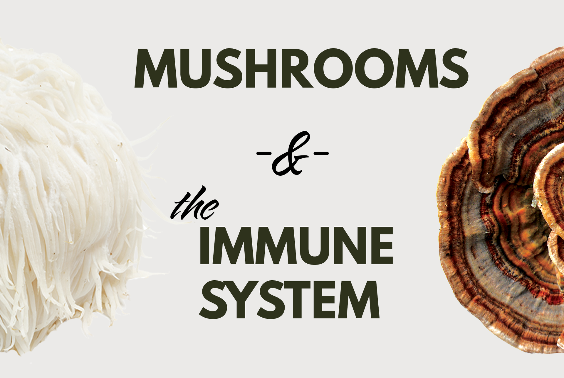 Mushrooms and the Immune System