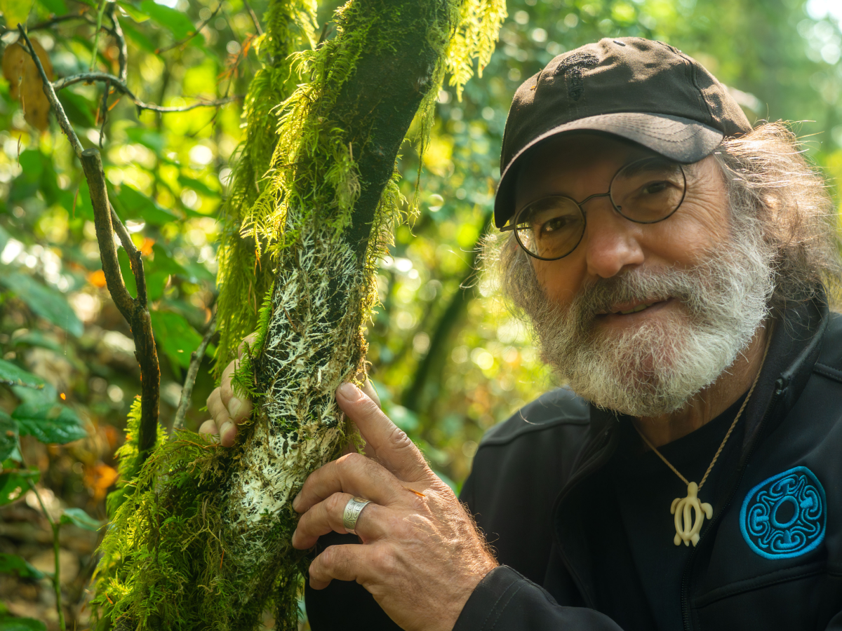 Mycelium is the Future: What Matters Most in the Mycelium vs Fruiting Body Debate