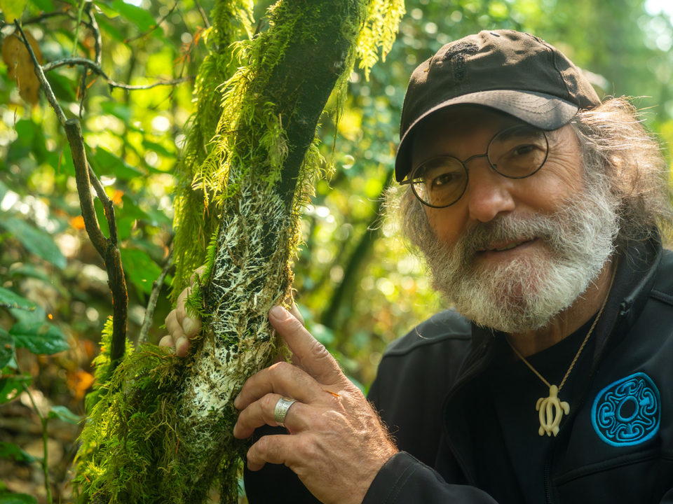 Mycelium is the Future: What Matters Most in the Mycelium vs Fruiting Body Debate