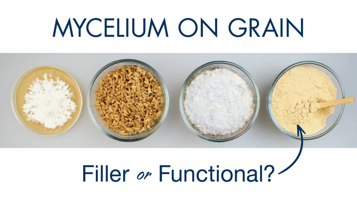 Myceliated Grain Vs Filler