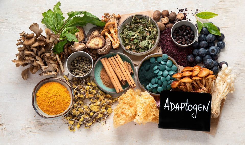 Assortment of mushrooms, herbs, and other adaptogens to support stress relief and a balanced mood.*
