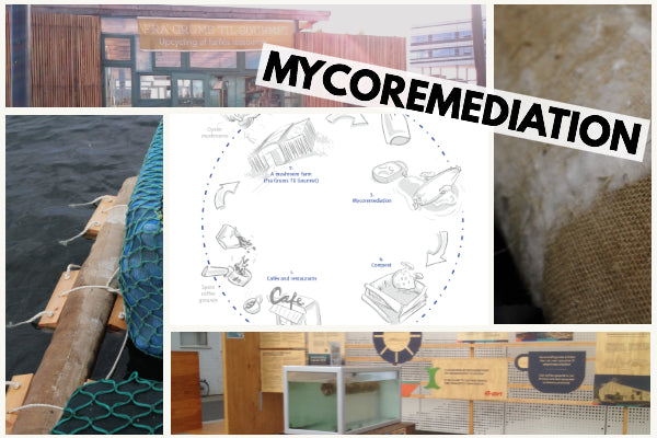 Exciting Mycoremediation Project in Denmark