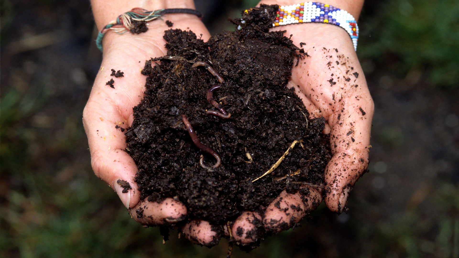 Carbon Dioxide Enrichment Through Decomposition