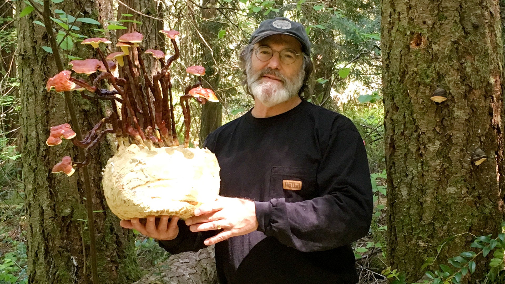 Paul Stamets Joins the AAAS-Lemelson Invention Ambassadors