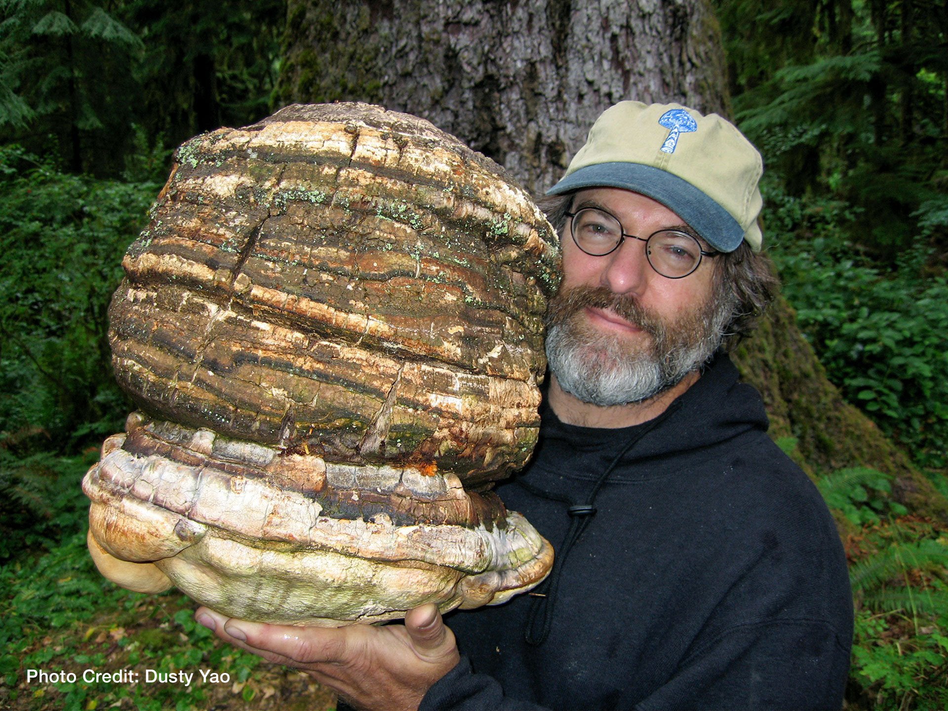 Paul Stamets holding a large Agarikon Mushroom. Photo by Dusty Yao