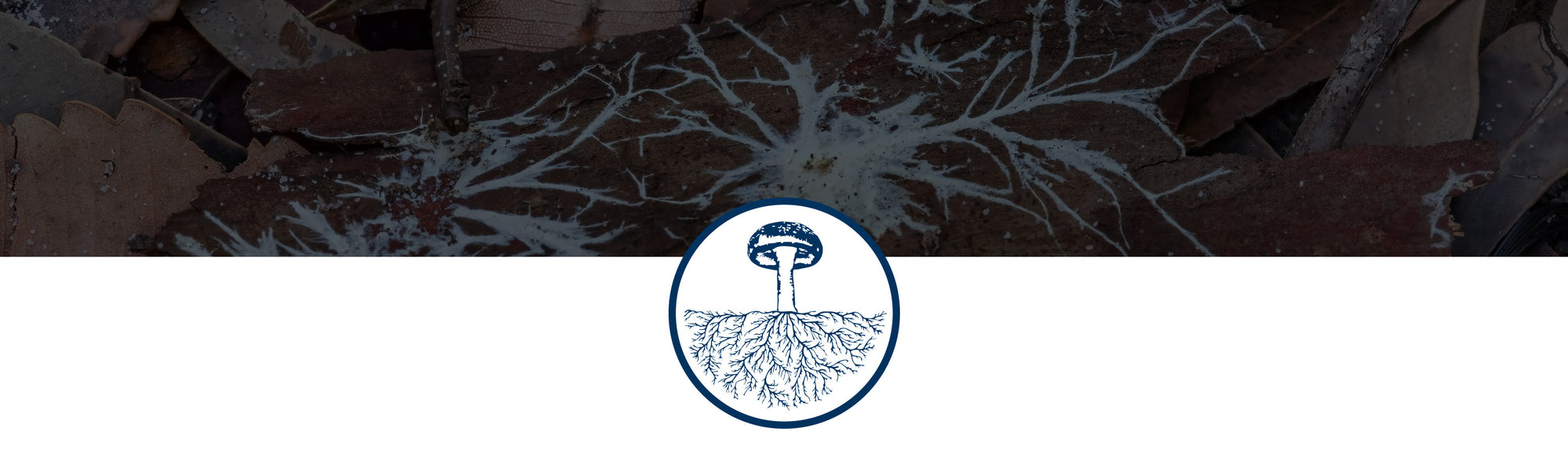 Host Defense Supplements are Powered by Mushroom Mycelium