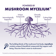 Host Defense® Lion’s Mane Gummies
 - Blueberry, Powered by Mushroom Mycelium.
