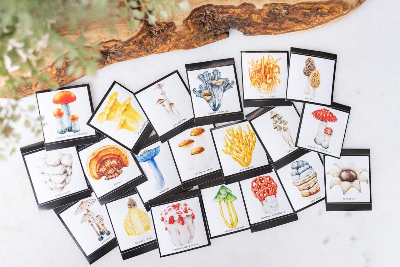 Botanical Mushroom Stickers