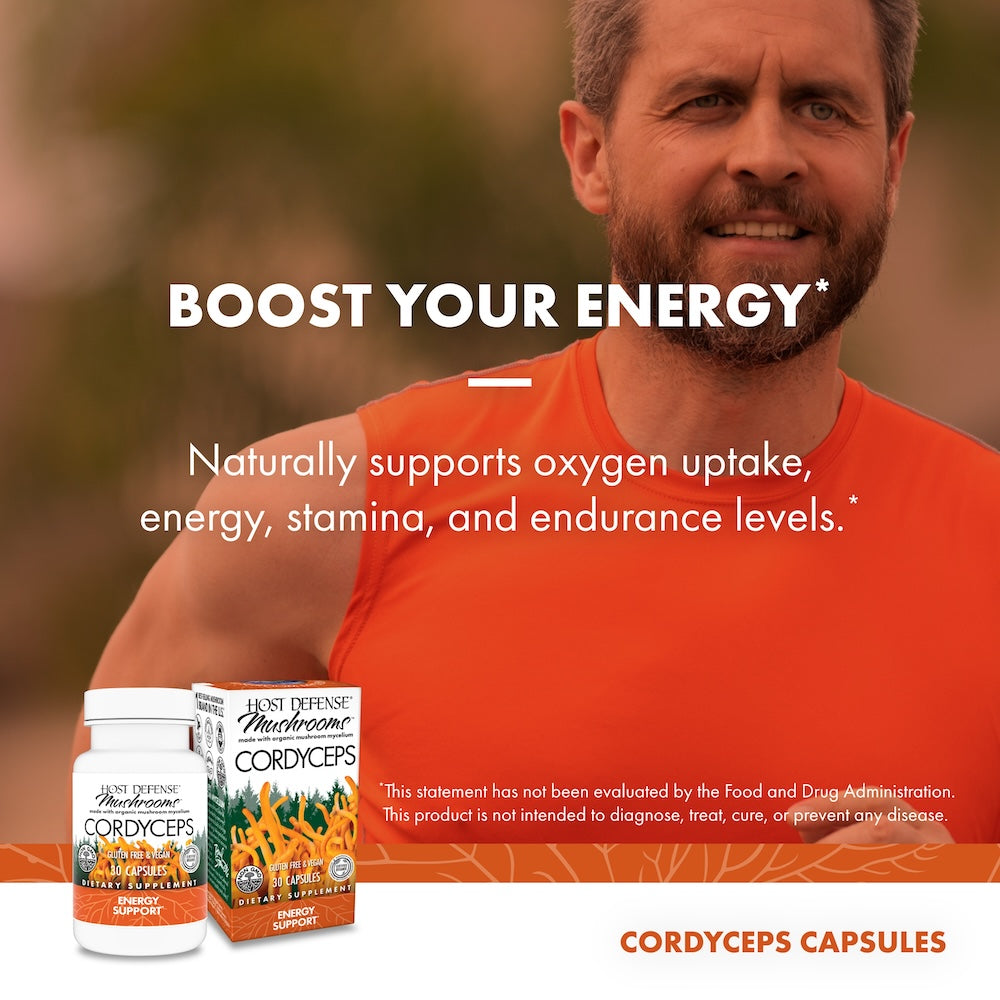 Complément Alimentaire Cordyceps 60 Capsules - Stimule Immunité & énergie - Jeaken