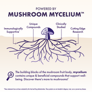 Grateful Dead Gummies - Cosmic Focus,  90-count bag, Powered by Mushroom Mycelium.