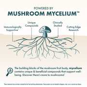 Grateful Dead Gummies - Stay Mellow,  90-count bag, Powered by Mushroom Mycelium.