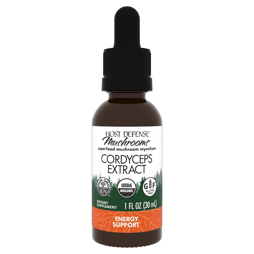 Cordyceps Extract For Enhanced Stamina