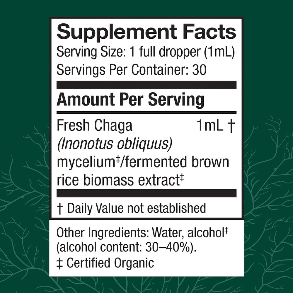 Chaga Extract