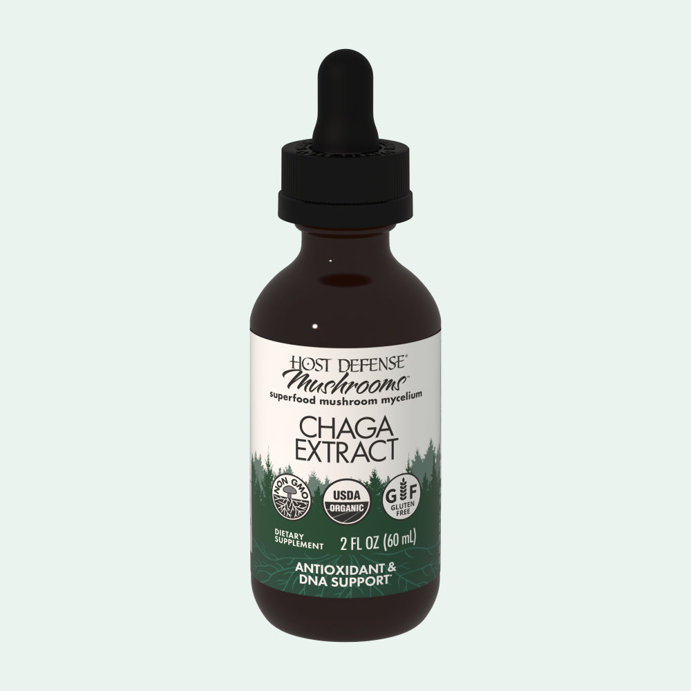 Chaga Extract