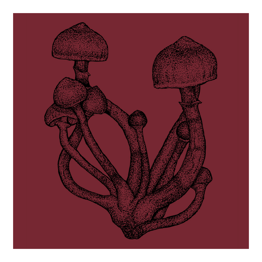 Fungi Perfecti Psilocybin Cubensis T-Shirt Graphic on Maroon Background
