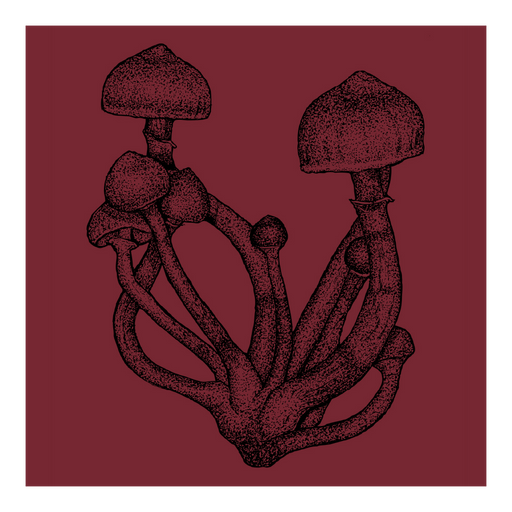 Fungi Perfecti Psilocybin Cubensis T-Shirt Graphic on Maroon Background