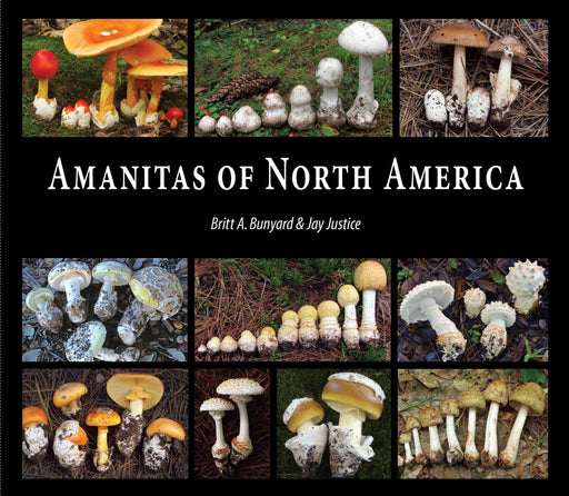 Amanitas of North America by Britt Bunyard