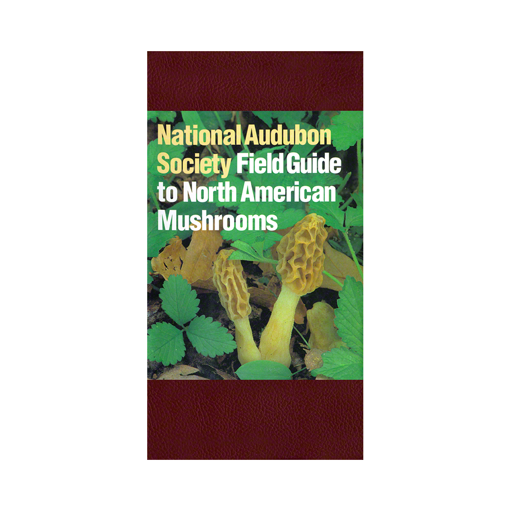 Audubon Guide to North American Mushrooms