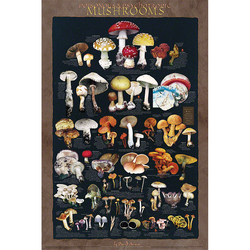 Poisonous and Psychoactive Mushrooms Poster