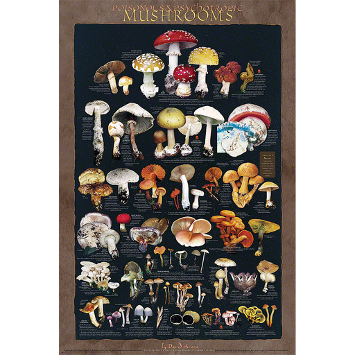Poisonous and Psychoactive Mushrooms Poster