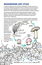 Fungi Perfecti Mushroom Funtime Activity Book